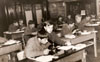 Lekcja biologii, 1973r. Od l. Z. Atmanowicz, T. Badyna, A. Flatow, ?, W. Giers, F. Antczak, A. Kwasniewski, J. Dwulit, S. Kozlowski, L. Hudaszek, R. Jakimowicz.